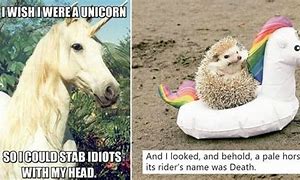 Image result for Faboulous Funny Unicorn Memes