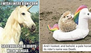 Image result for I'm a Unicorn Meme