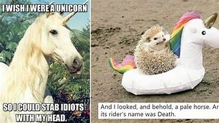 Image result for Fabulous Unicorn Memes