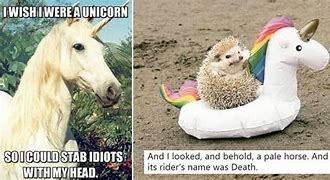 Image result for Baby Unicorn Meme