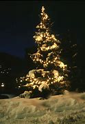 Image result for Christmas Tree Snow Scene