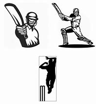 Image result for MS Dhoni Bat Stickers