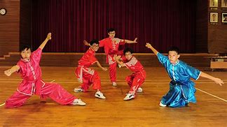 Image result for Wushu