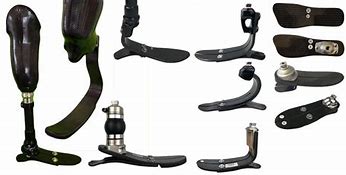 Image result for Prosthetic Leg Parts