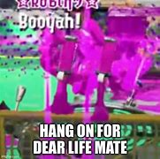 Image result for Hang in There Animal Meme