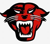 Image result for College Panther Logo