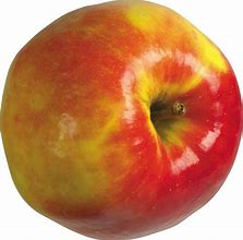 Image result for Cool Hardy Red Flesh Apple