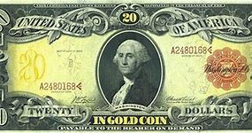 Image result for What Are Black and Red Marks On the Tops of Bills