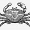 Image result for Crab Silhouette Clip Art