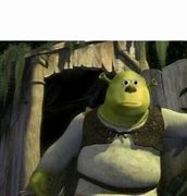 Image result for Blank Shrek Meme