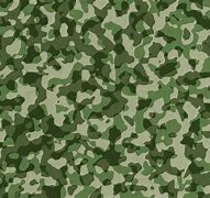 Image result for Camouflage Background Free