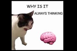 Image result for Why Is It Always Thinking Meme