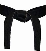 Image result for Black Belt