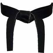 Image result for Black Belt in Karate Astethic