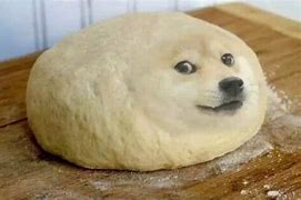 Image result for Fat Doge Face Meme