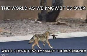 Image result for Funny Coyote Hunting Memes