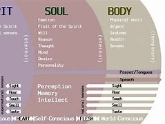 Image result for Spirit Pneuma Nous Soul Psyche Body