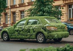 Image result for Nature-Based Car