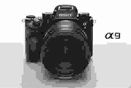 Image result for Sony Alpha A9 II