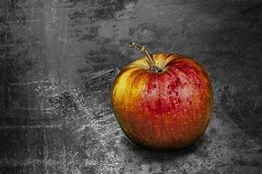 Image result for Apple photos