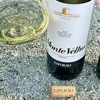 Image result for Herdade do Esporao Vinho Regional Alentejano Monte Velho