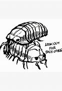 Image result for Isopod Meme