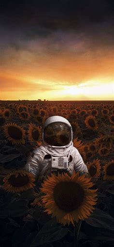Astronaut in Sunflower Field : iWallpaper