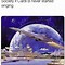 Image result for They Came From Outer Space Meme
