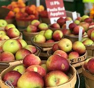 Image result for Michigan Apple Orchard