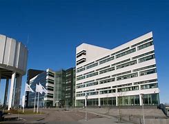 Image result for Sony Lund Office