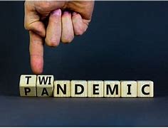Image result for Twindemic warning