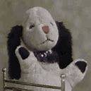 Image result for Sooty Butch