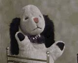 Image result for Sooty and Sweep Wallpaper