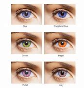 Image result for Novelty Contact Lenses