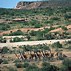 Image result for Where Is the Patagonian Desert Located