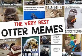 Image result for Otter Programming Memes