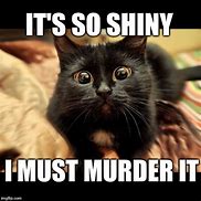 Image result for Cat Meme Shiny