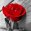 Image result for Rose Bouquet Girl iPhone Wallpaper