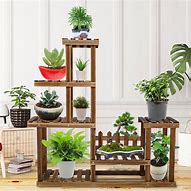 Image result for Indoor Plant Stands for Multiple Plants