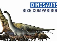 Image result for Dino Size Comparison