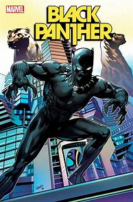 Image result for Black Panther 5