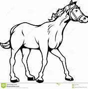 Image result for Cartoon Picture of a Black an D White Horse