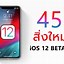 Image result for iPhone 5S iOS 12