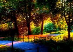 Image result for Best Nature Theme