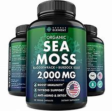 Image result for Sea Moss Herbal Pills