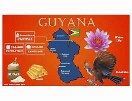 Image result for Nursery Schools Guyana