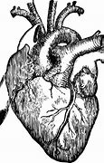 Image result for iPhone Heart Drawing