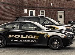 Image result for American Police