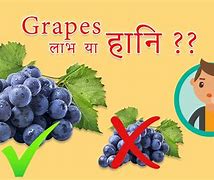 Image result for Grapefruit in Hindi