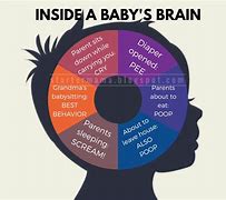 Image result for Baby Brain Map